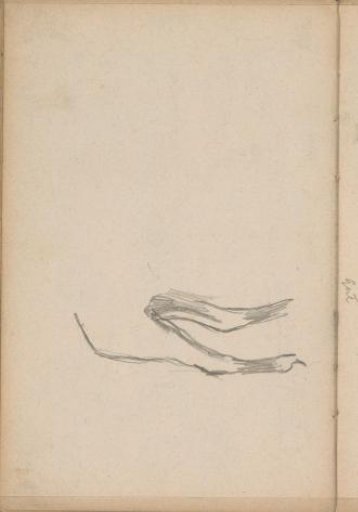 Hindquarters of an animal