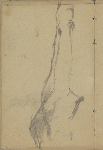 Horse's leg