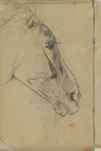 Horse's Head