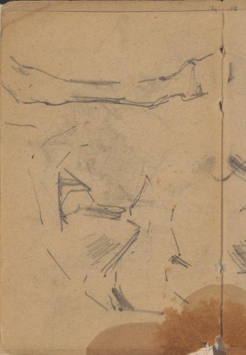 Horse studies