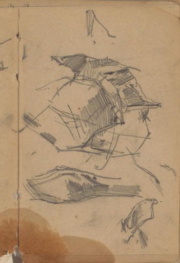 Study sheet with animals