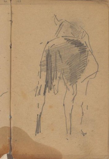 Horse, seen from behind