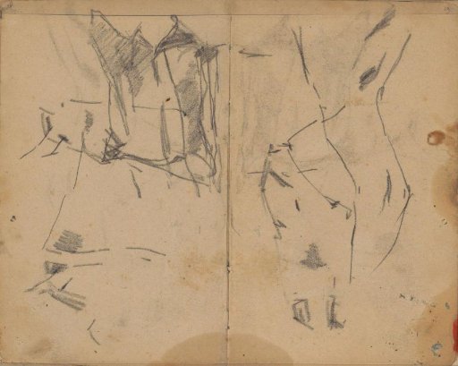 Horse studies
