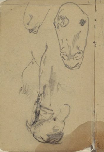 Study sheet, possibly with a figure and a cat