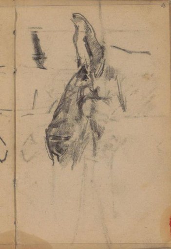 Head of a horse or donkey