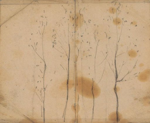 Five Trees