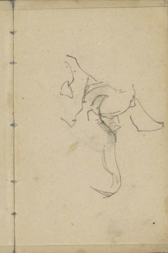 Study