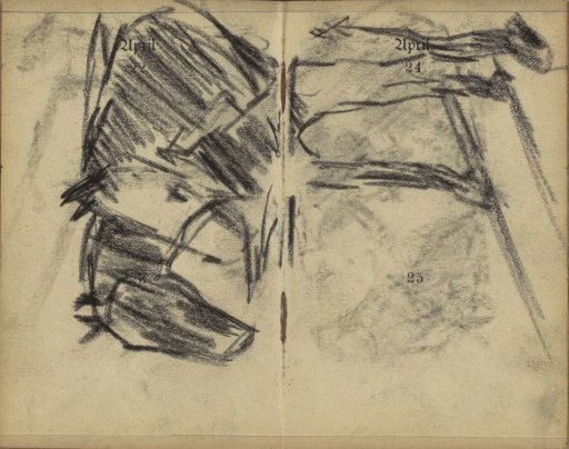 Two horses
