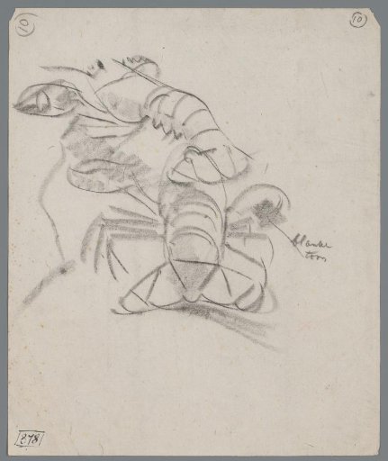 Study of a Crab
