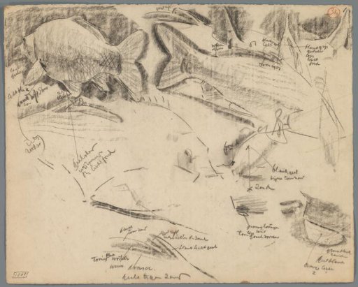 Studies of carp