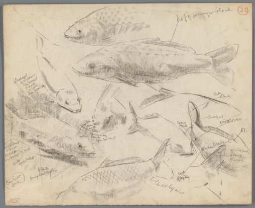 Studies of carp