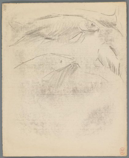 Studies of carp