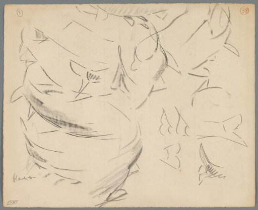Study sheet with tails of carp