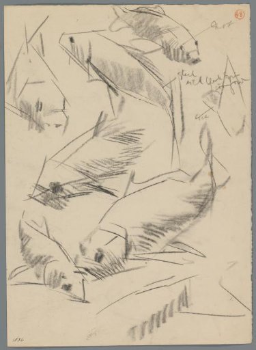 Studies of carp