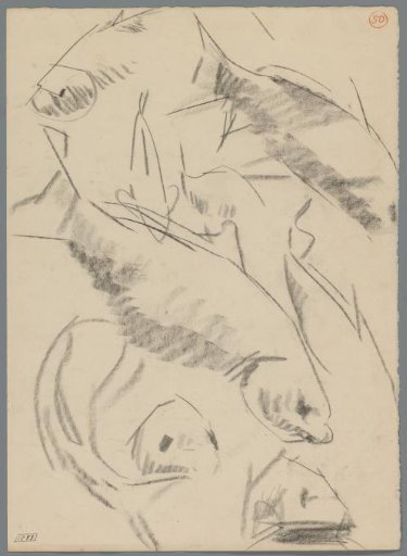 Studies of carp