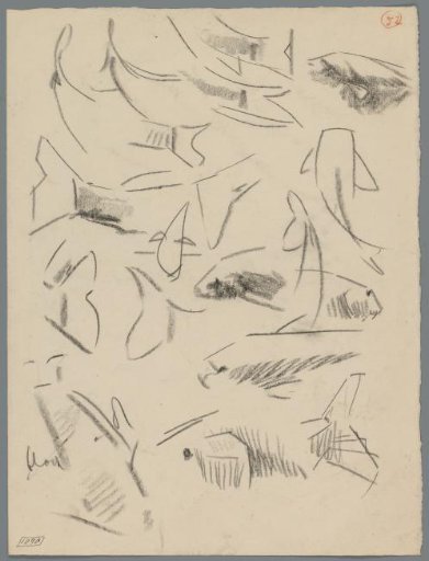 Study sheet with tails of carp