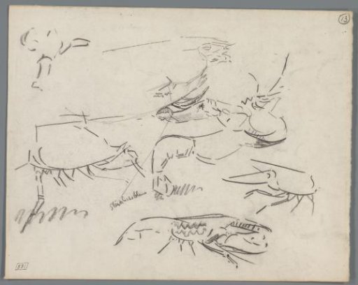 Studies of Crabs
