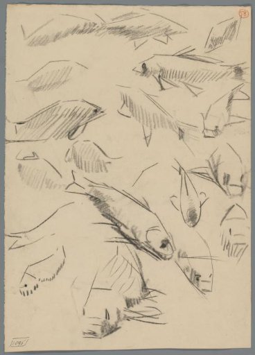 Study sheet with fish