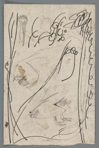 Pen exercises and a head and feet of a bird, possibly a pelican