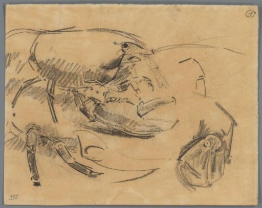 Study of a Crab