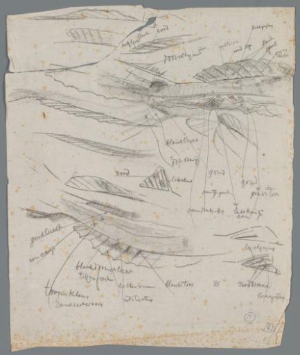 Study sheet with the fins of a red pike