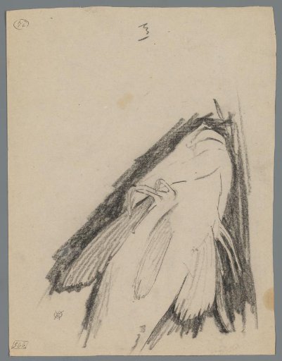 Under view of a red pike