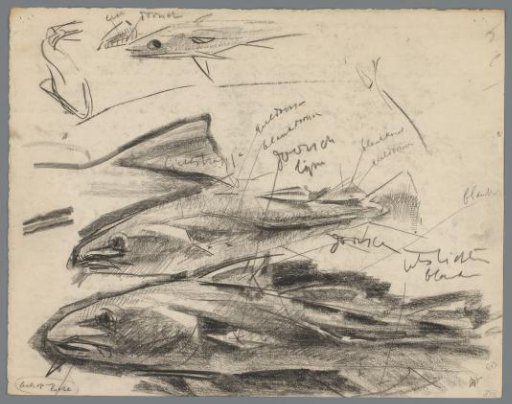 Studies of cod