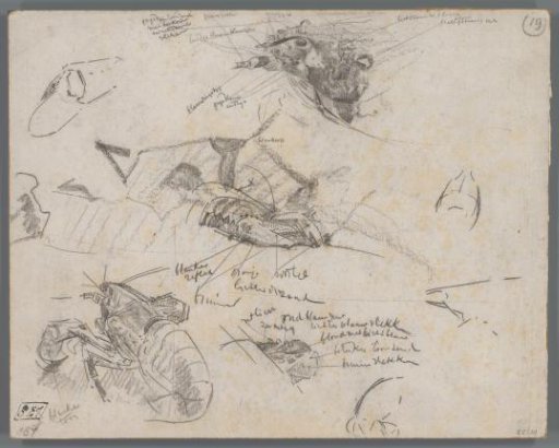 Studies of Lobsters
