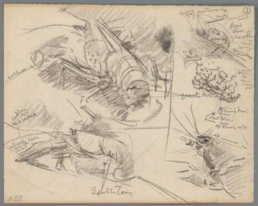 Studies of crayfish
