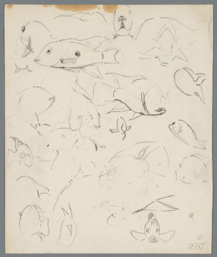 Study sheet with fish