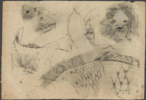 Sketch sheet with studies of carp