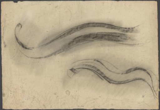 Sketch Sheet with Studies of Carp