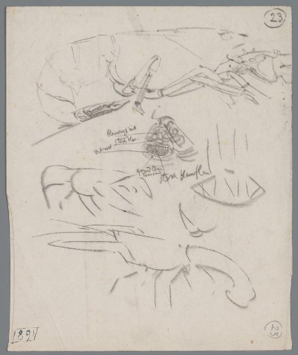 Studies of Lobsters