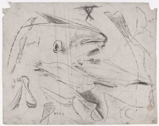 Sketch sheet with various fish
