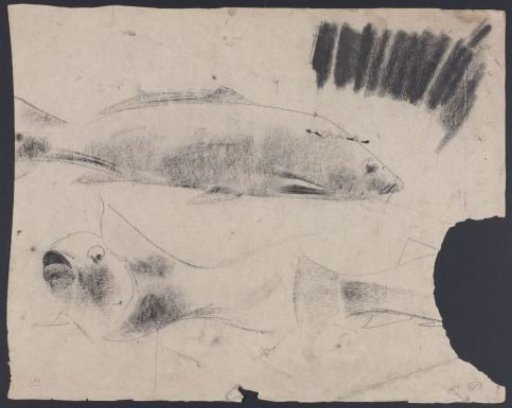 Sketch of fish