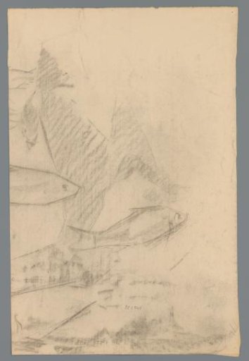 Sketch of fish