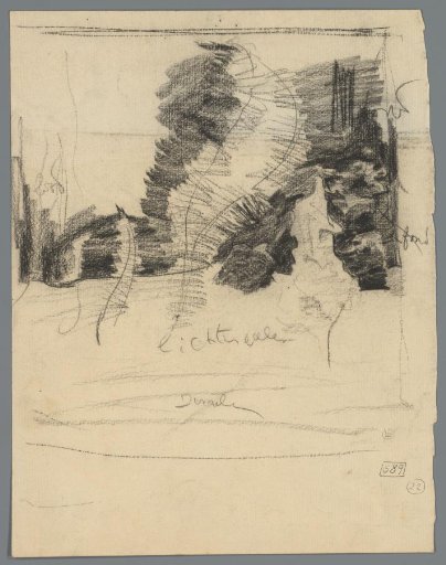 Study of an aquarium with water plants