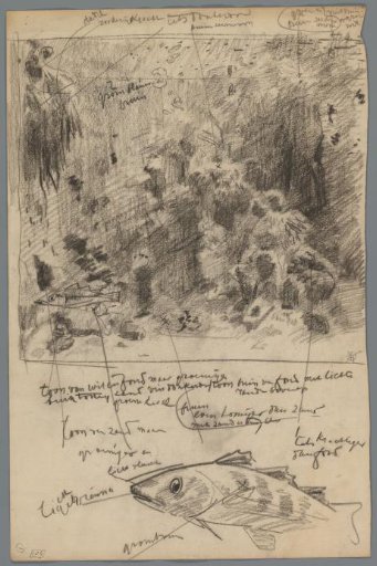 Study of an aquarium with a fish