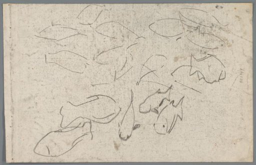 Study sheet with fish