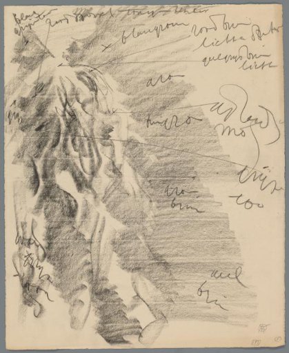 Study of an aquarium