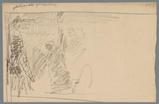 Study of an aquarium