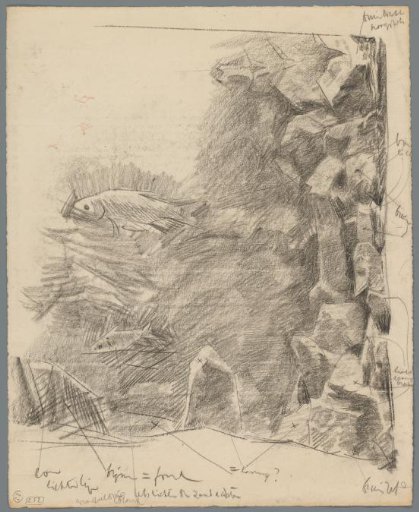 Study of an aquarium with fish