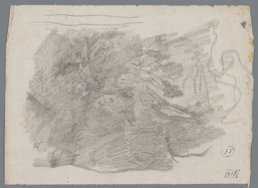 Study of an aquarium with a fish