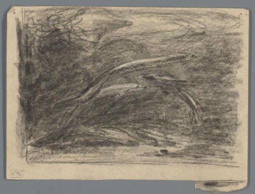 Study of an aquarium with fish
