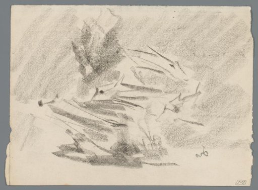 Study of an aquarium with fish