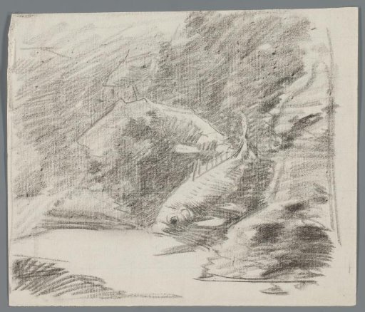 Study of an aquarium with a fish