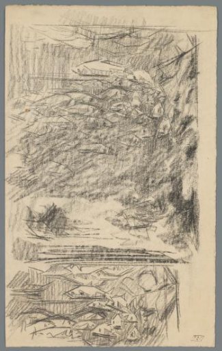 Study of an aquarium with fish