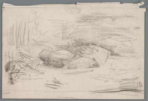 Study of an aquarium with fish
