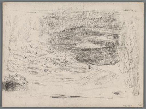 Study of an aquarium with fish