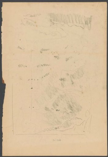 Sketch of an aquarium